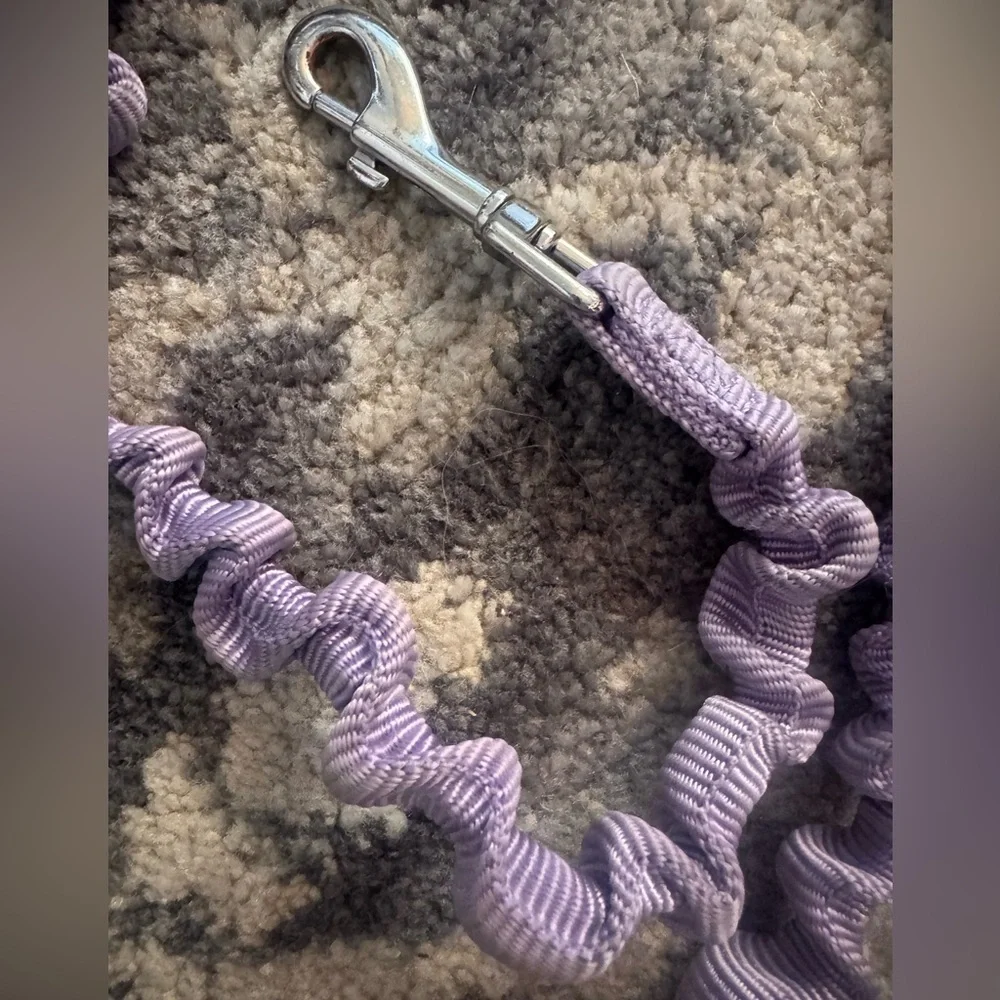 PetSafe Purple Bungee Small Dog Leash